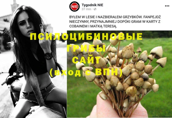 бошки Алексеевка