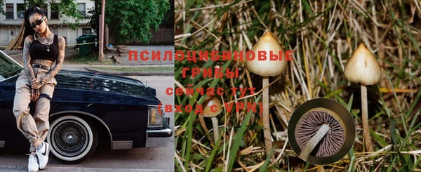 марихуана Абинск