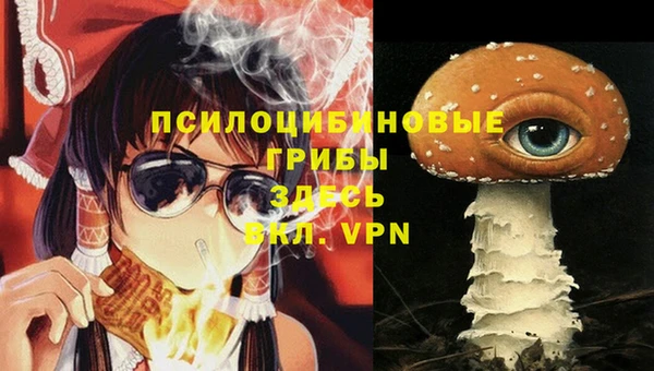 марихуана Абаза
